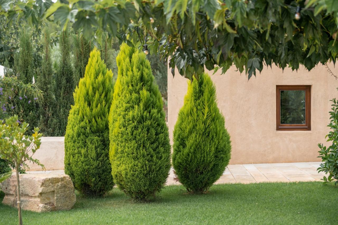 Agroturismo Safragell Ibiza Suites & Spa Sant Llorenc de Balafia Kültér fotó